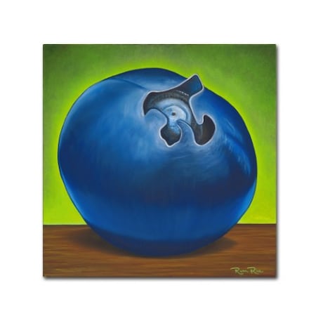 Ryan Rice Fine Art 'Blueberry Pi' Canvas Art,24x24